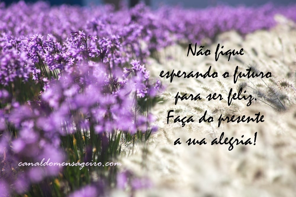faça-do-presente-a-felicidade