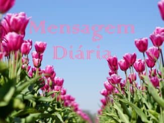 mensagem-diaria