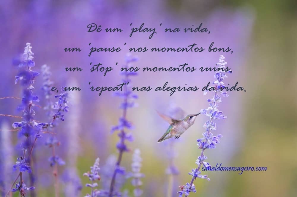 de-um-play
