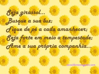 frases-diarias