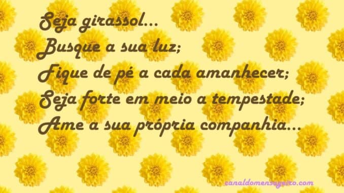 frases-diarias