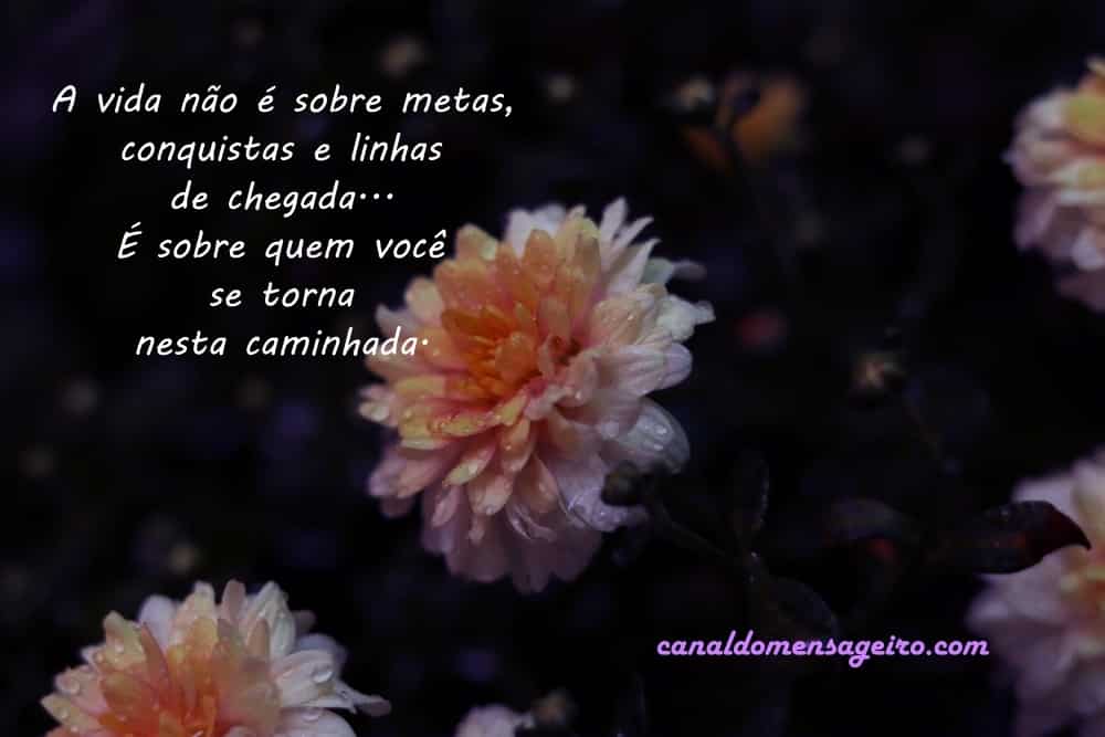 mensagens-diarias-voce