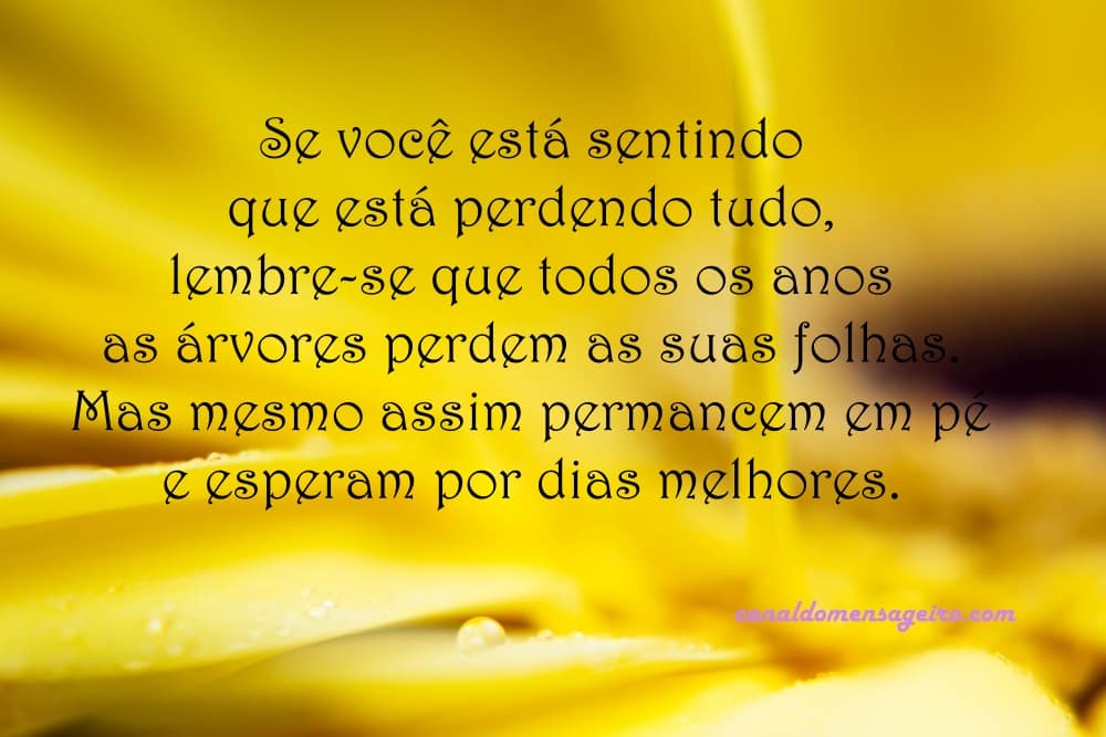 arvores-perdem-folhas