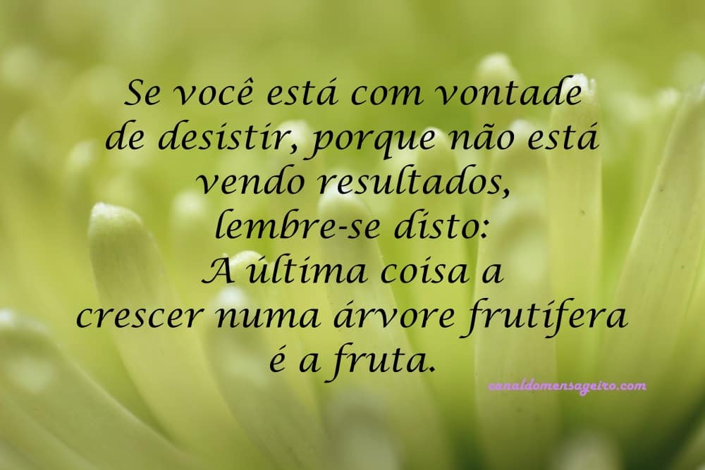 a-fruta-por-ultimo-frases