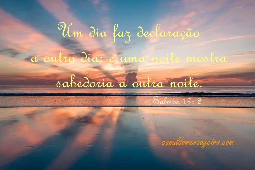 um-dia-declara-a-outro-palavra-do-dia