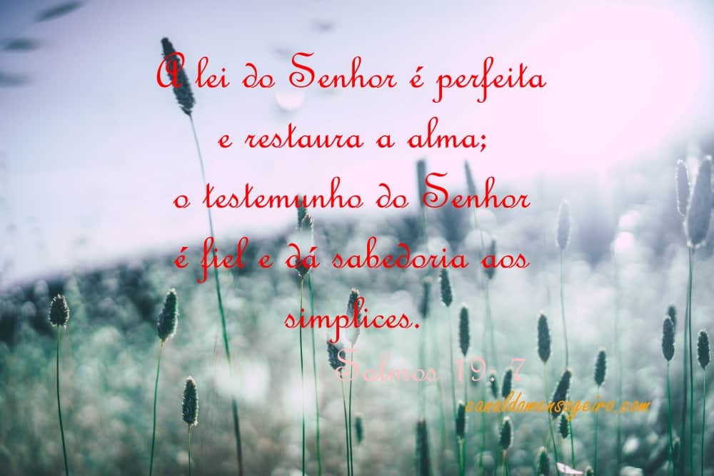 a-lei-do-senhor-palavra-do-dia