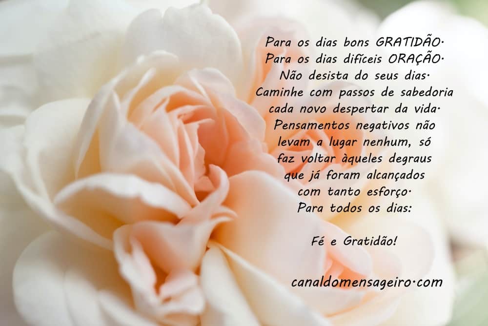 palavras-para-dias-dificeis