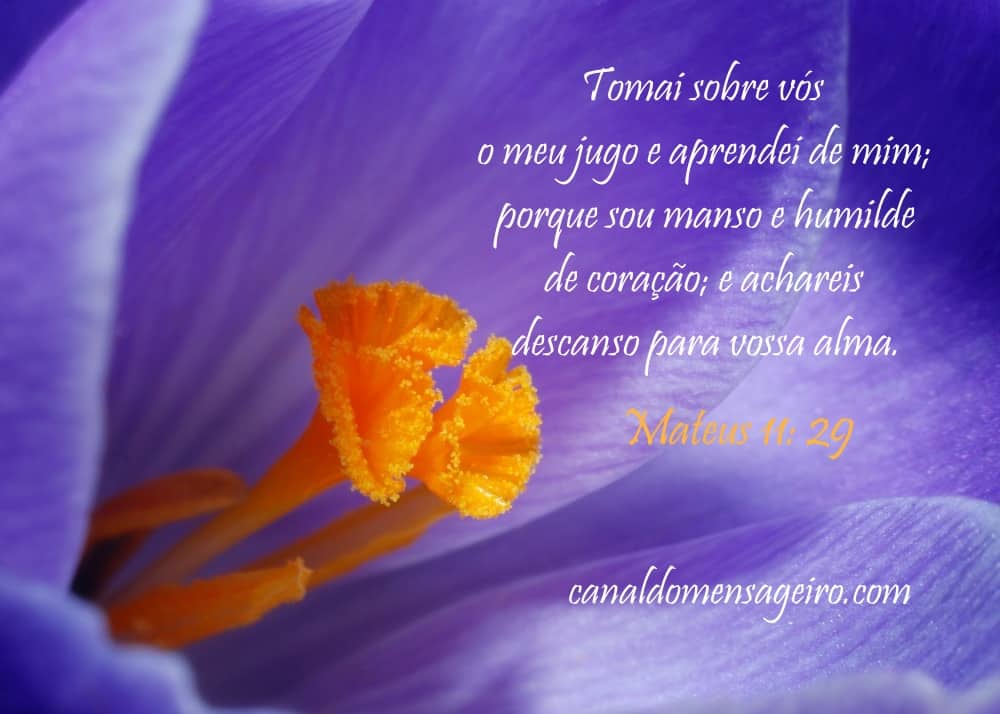 descanso-para-dias-dificeis