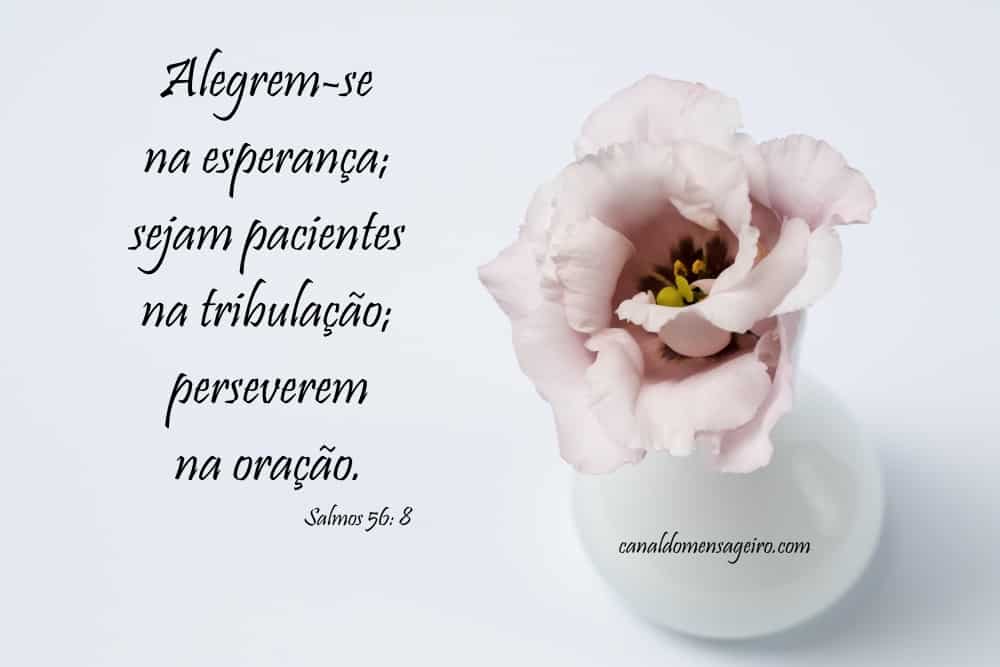 esperança-para-dias-dificeis