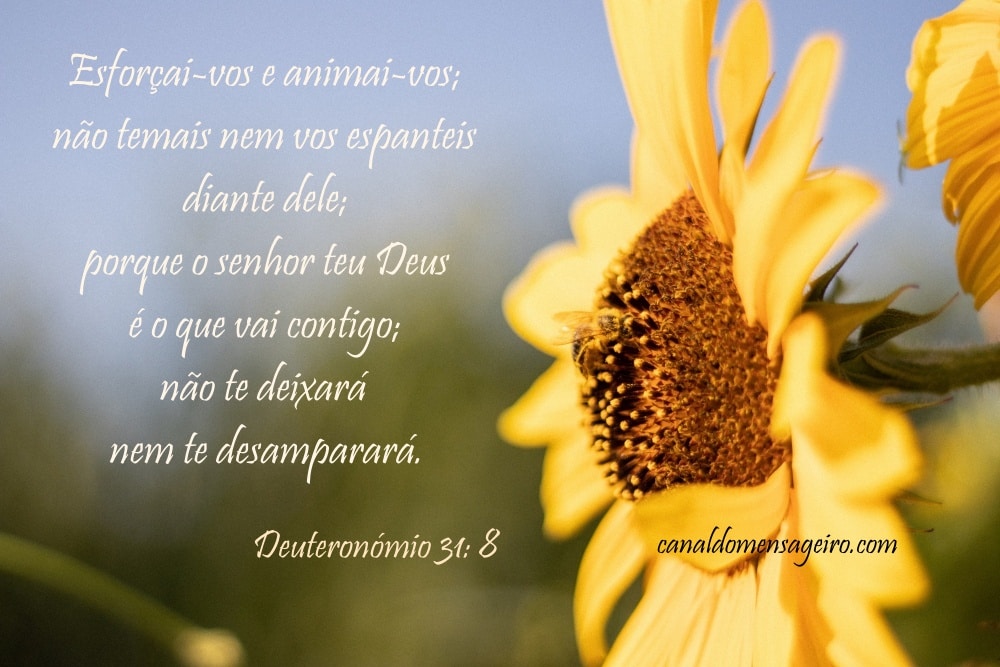 deus-nos-dias-dificeis