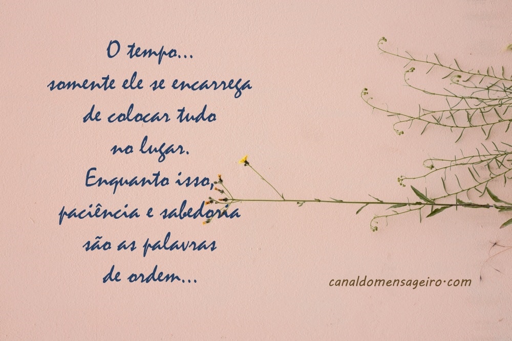 paciencia-e-sabedoria