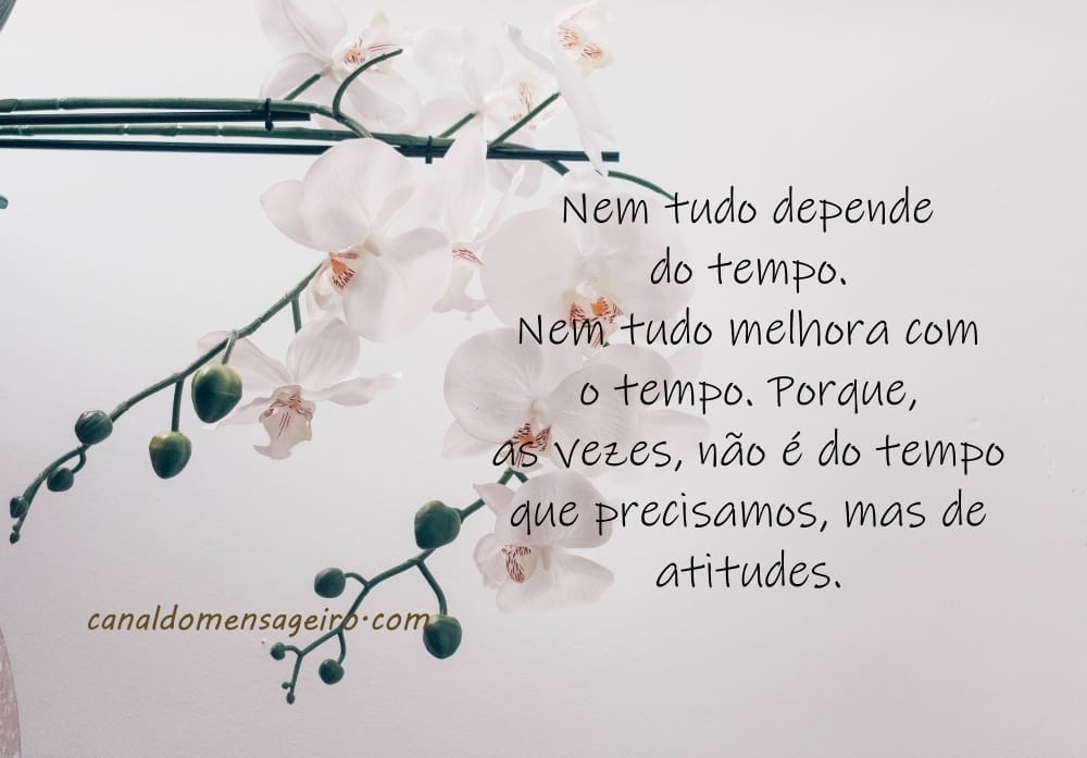 frase-do-dia-tempo