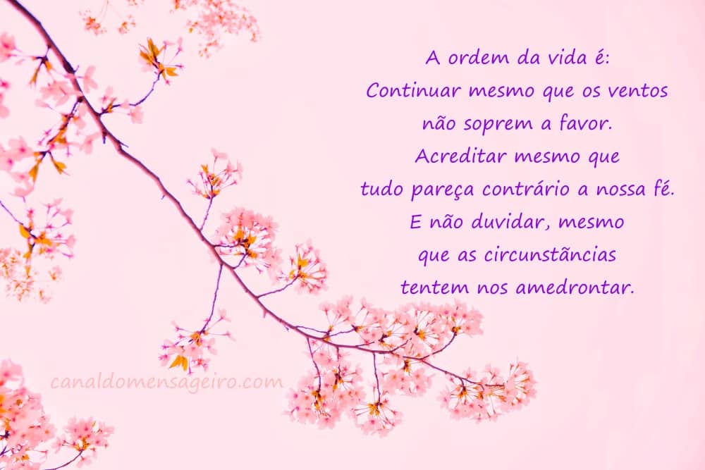 paz-interior-ordem-para-vida