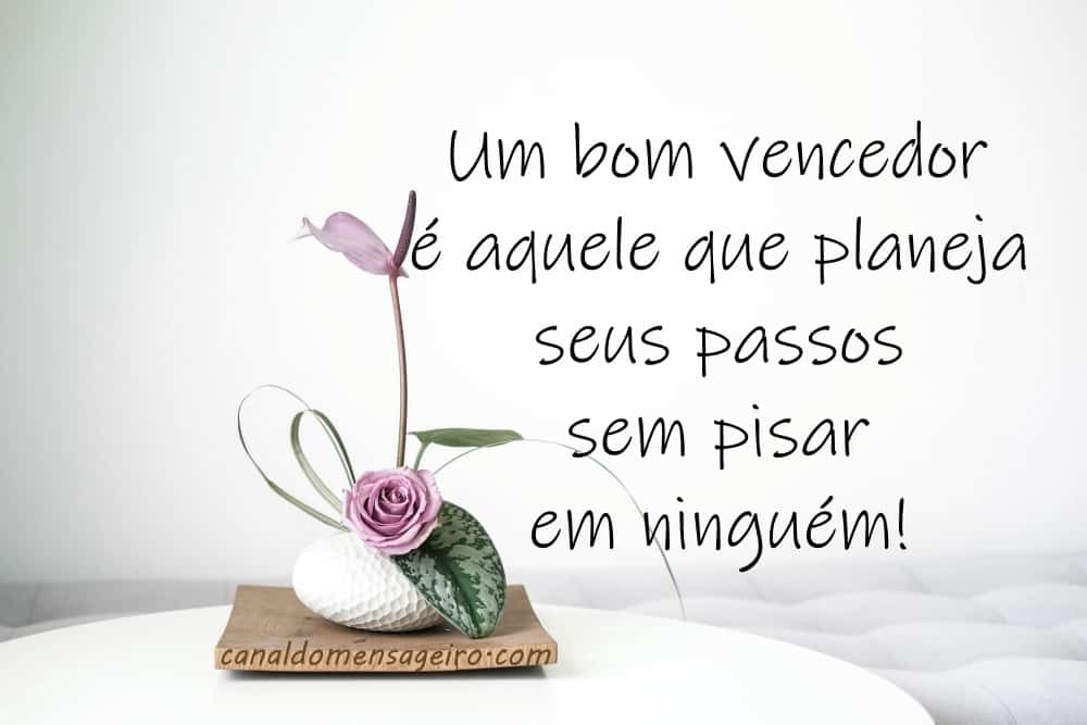 vencedor-frase-do-dia