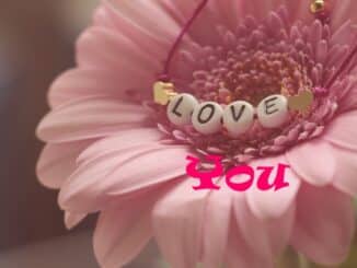 declarações-de-amor-sincero