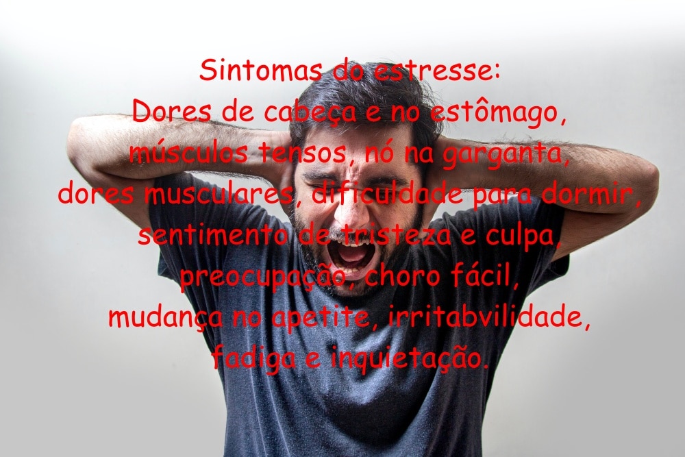 curisodades-sobre-o-estresse-desespero