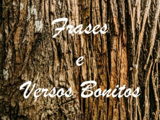 frases-e-versos-bonitos