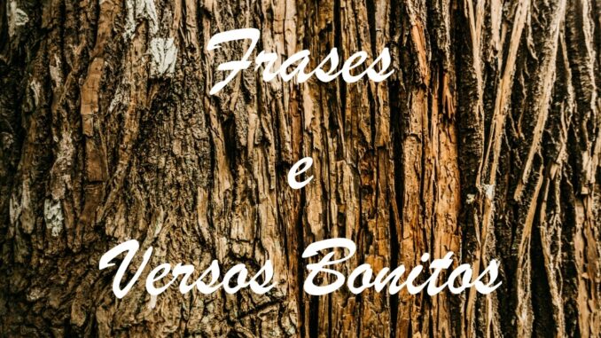 frases-e-versos-bonitos