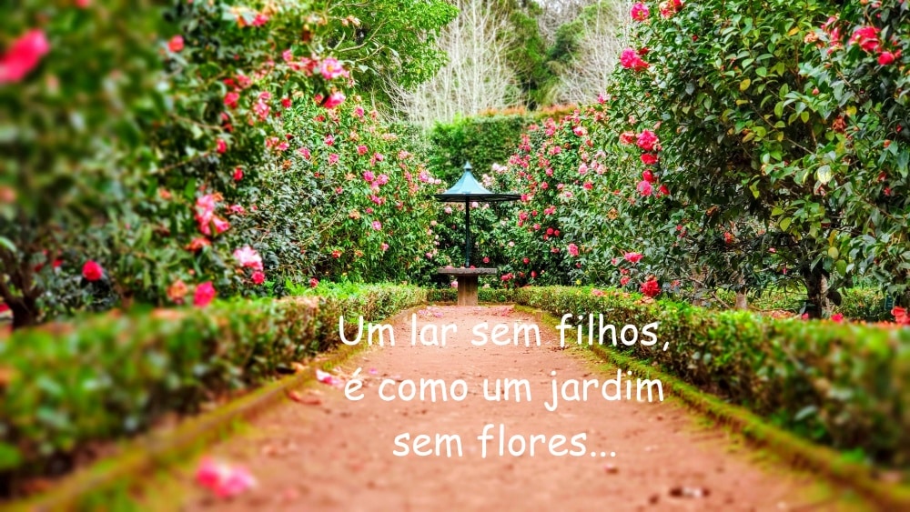 frases-para-dia-do-filho-jardim
