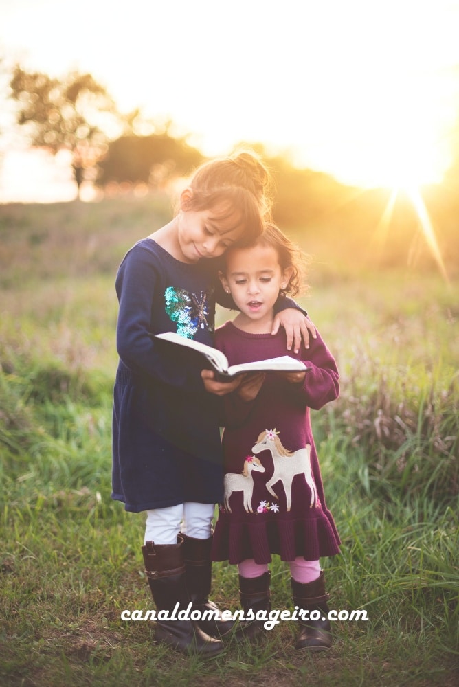 atividades-de-entretenimento-album-fotos