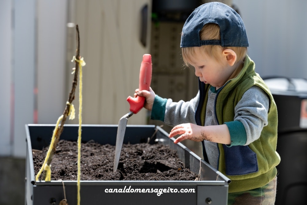 atividades-de-entretenimento-plantar