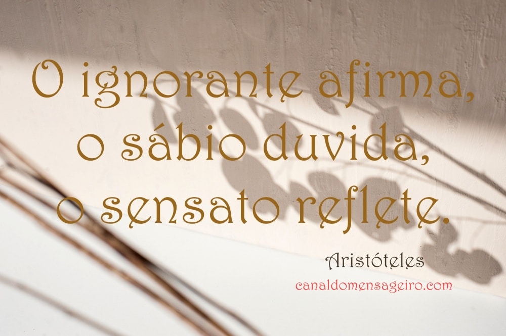 pensadores-o-sabio-duvida