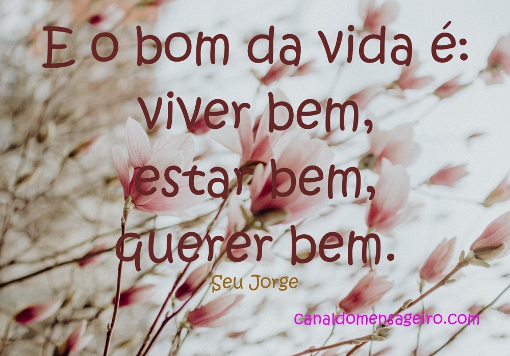 receita-para-viver-bem-o-bom-da-vida