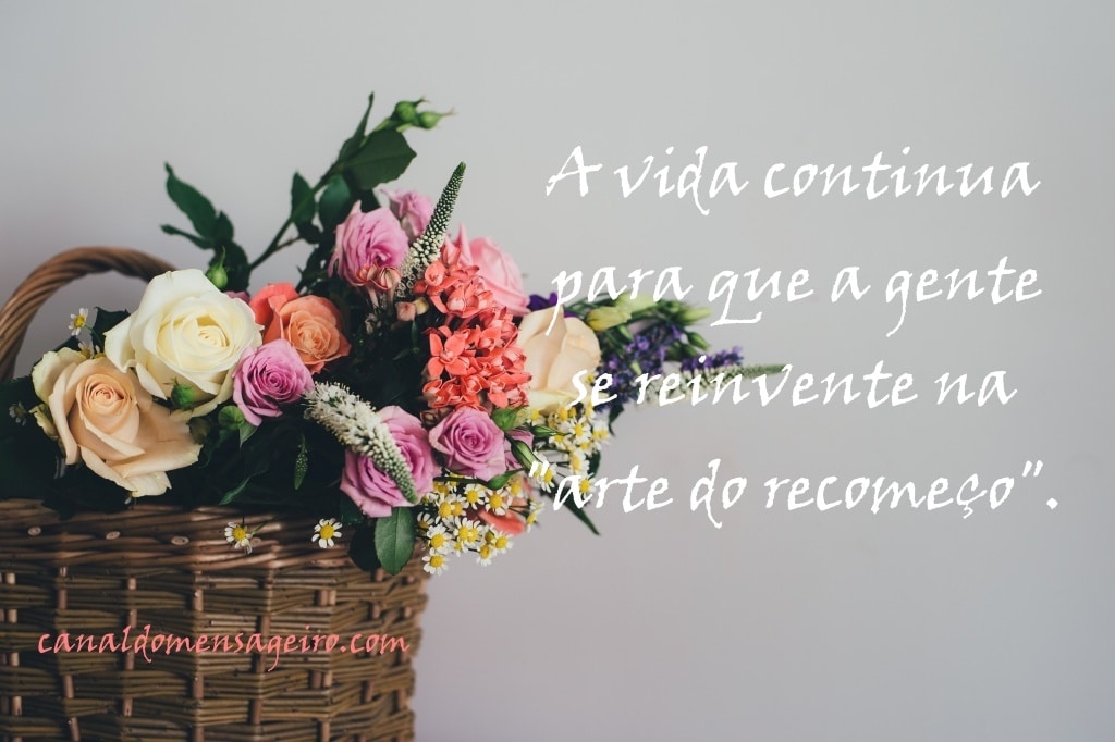 a-vida-continua