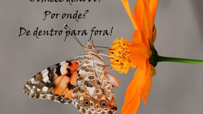 de-dentro-para-fora