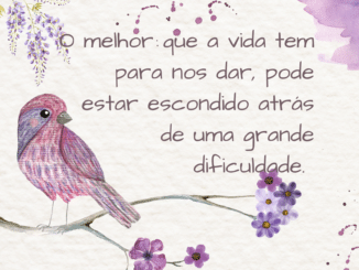 otimismo-o-melhor-da-vida