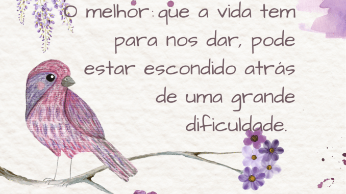 otimismo-o-melhor-da-vida