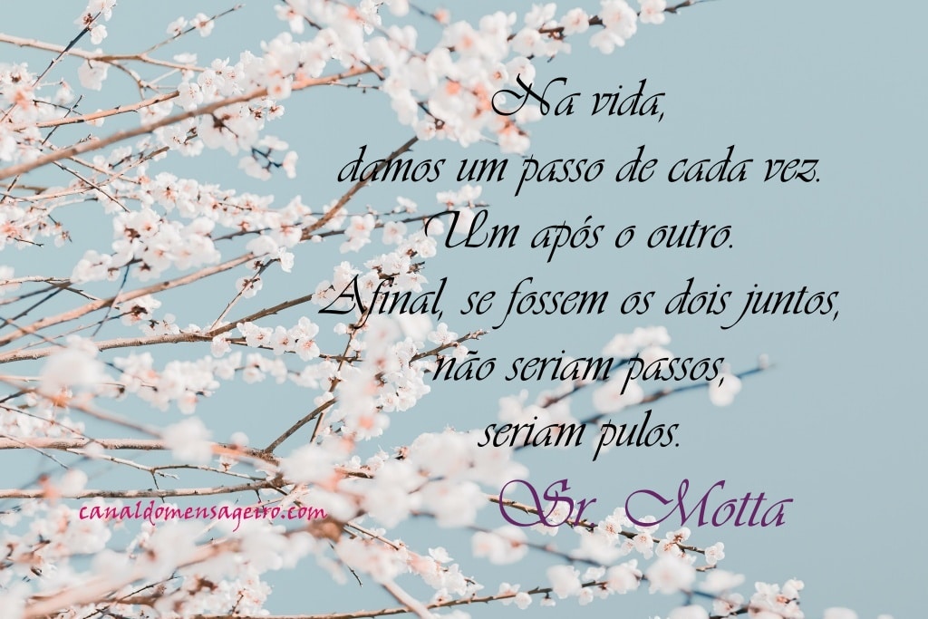 texto-reflexivo-um-passo-de-cada-vez