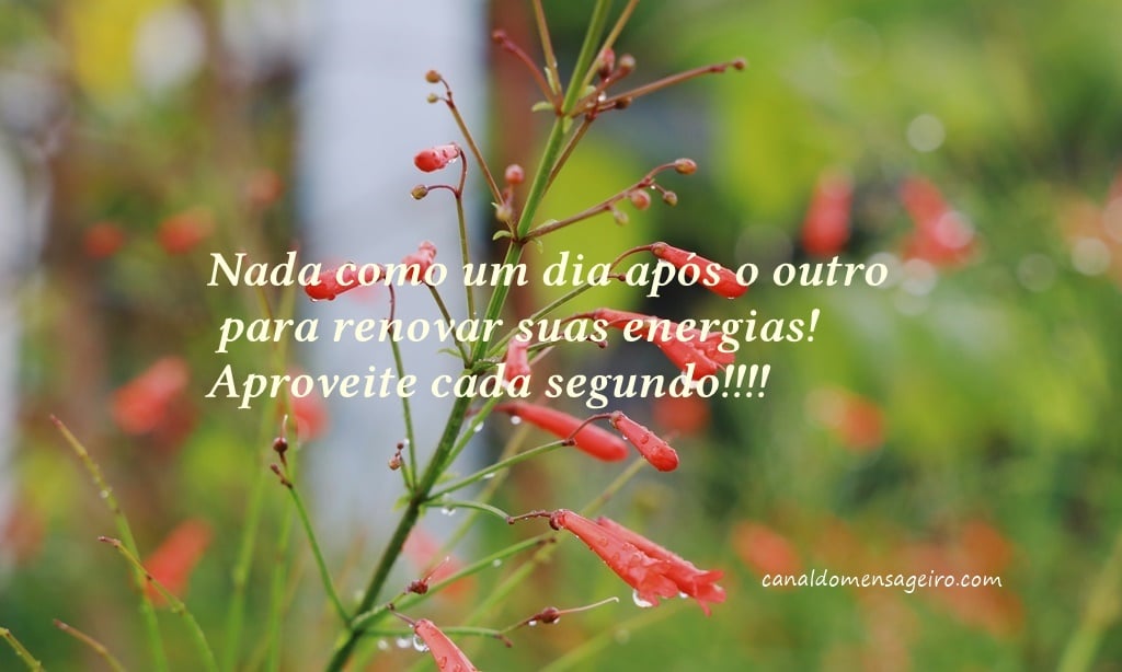 viver-bem-um-dia-de-cada-vez