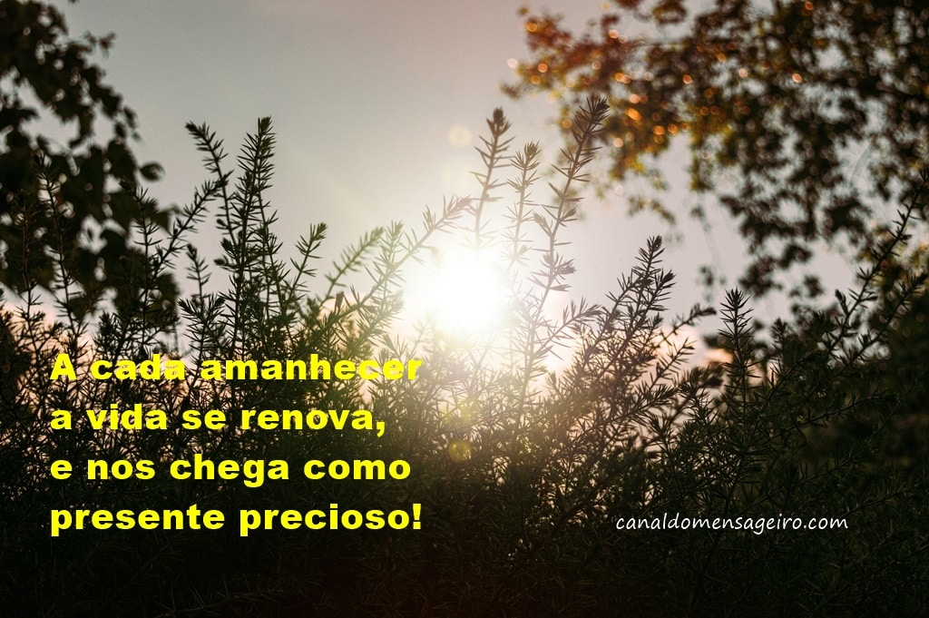 um-presente-vcivendo-um-dia-de-cada-vez