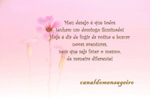flor-frase-domingo