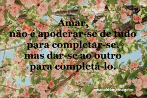 amar-nao-e-apoderar-se