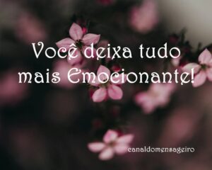 voce-deixa-tudo-mais-emocionante